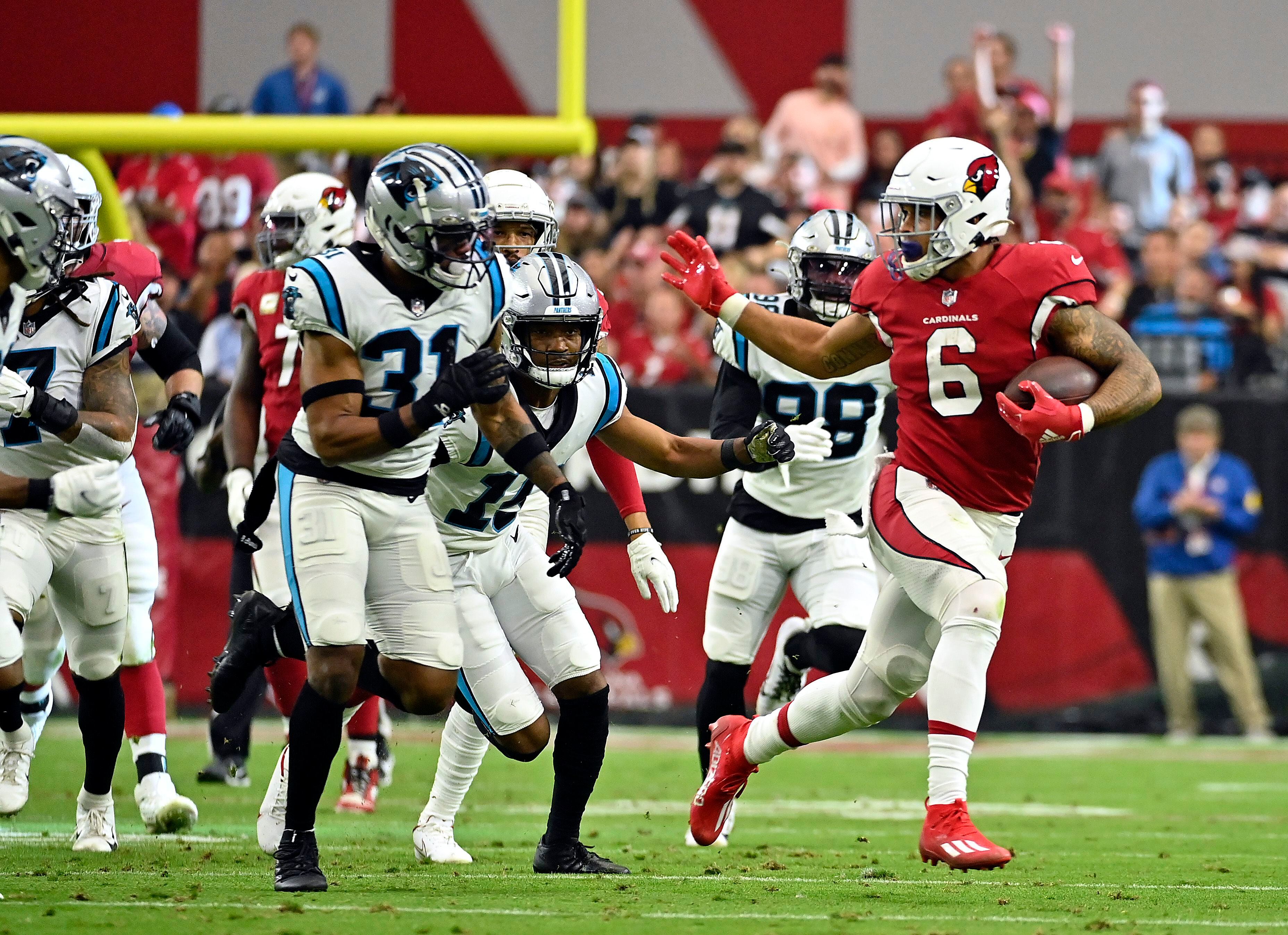 Photos: Panthers vs Cardinals