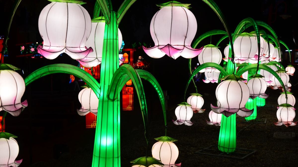 Chinese Lantern Festival to light up Daniel Stowe Botanical Garden again