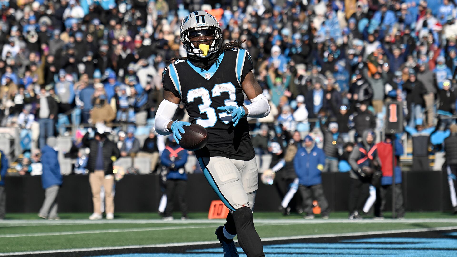 Panthers suffer tough home loss to Steelers, 24-16