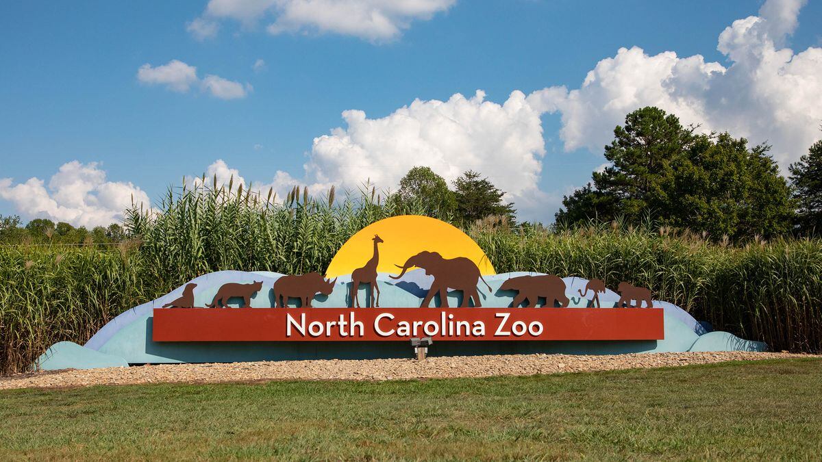 NC Zoo announces its reopening date after being closed for months