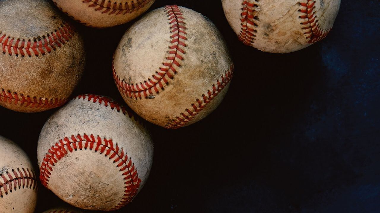 A very good dog took home Francisco Lindor's home run ball