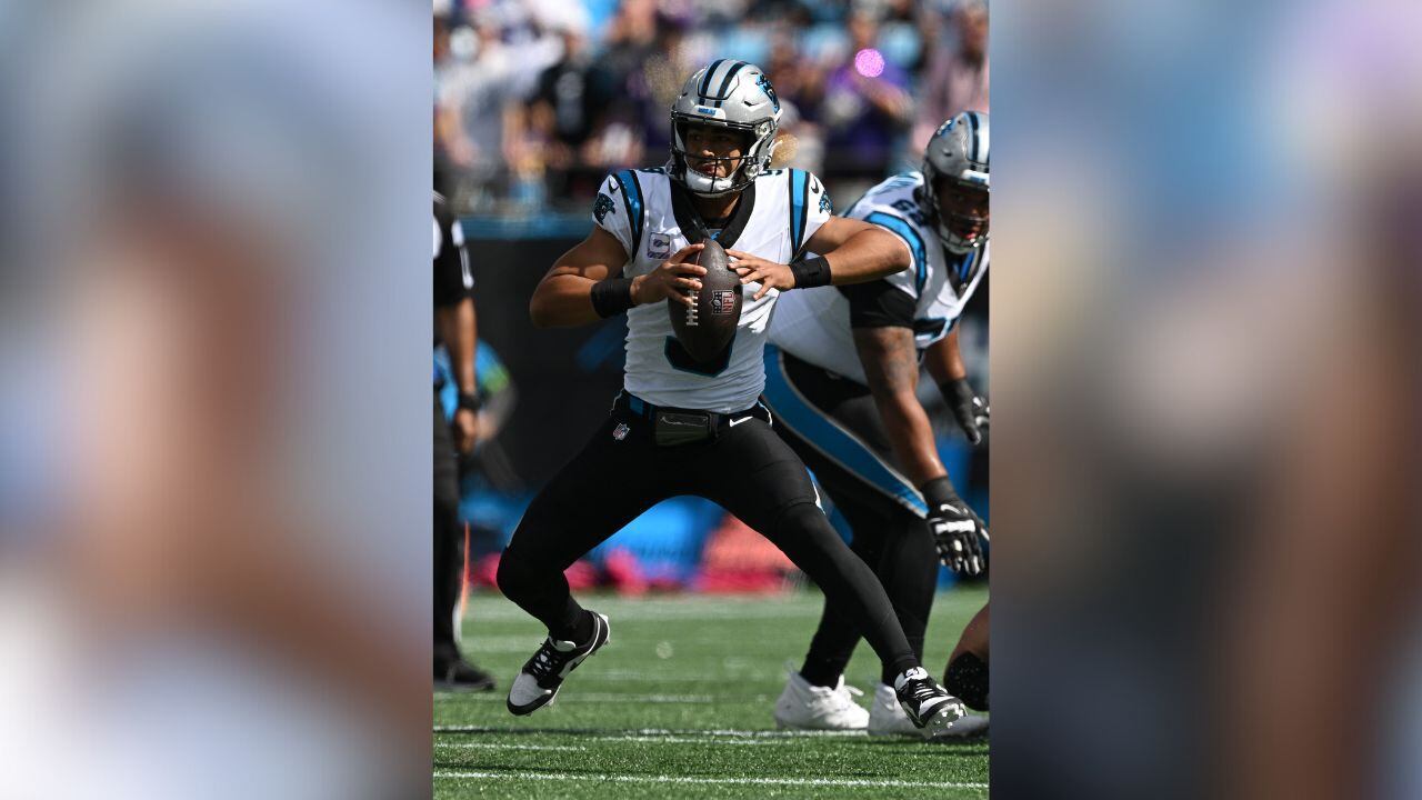 Carolina Panthers vs. Minnesota Vikings – WSOC TV