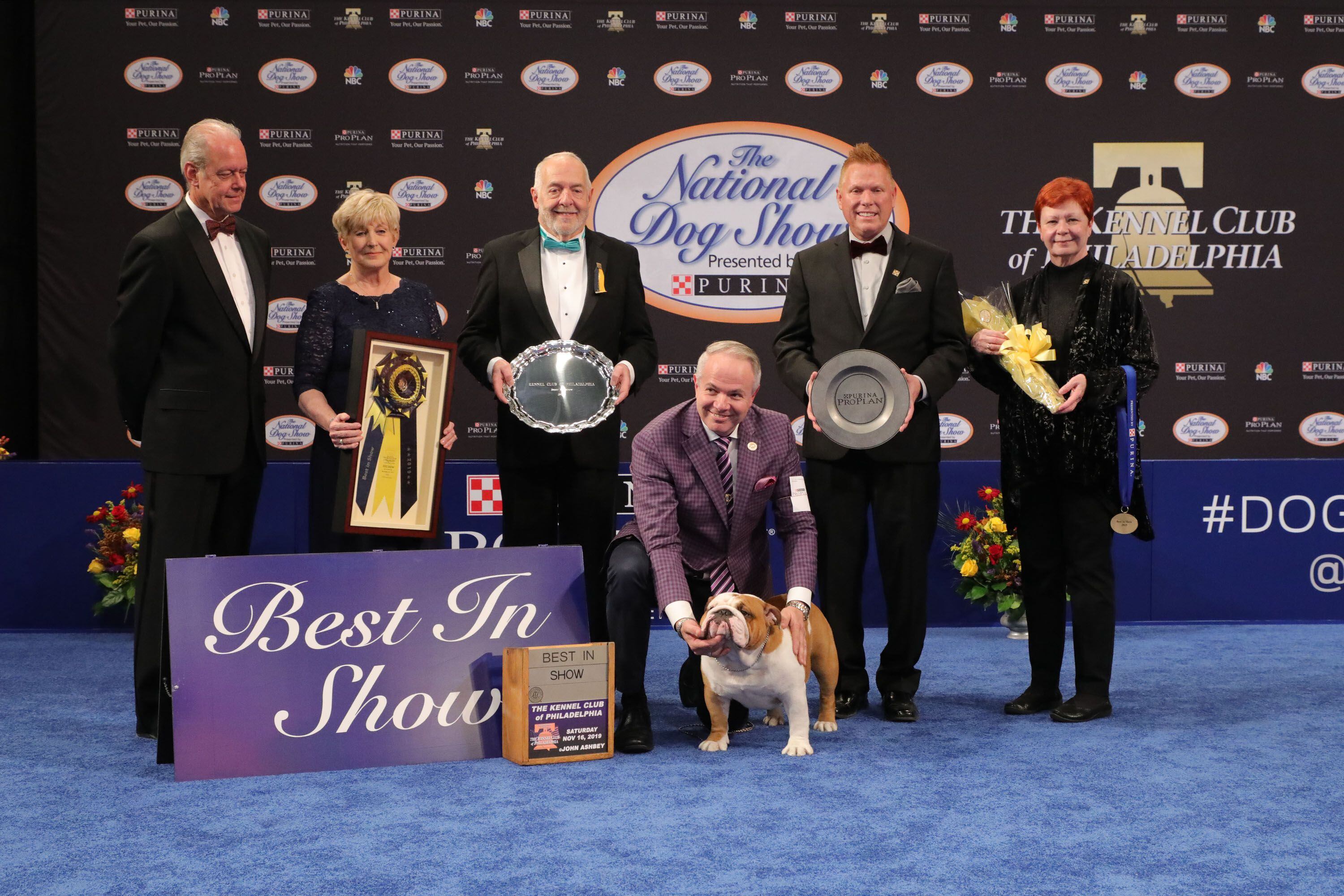 Dog show hot sale judges